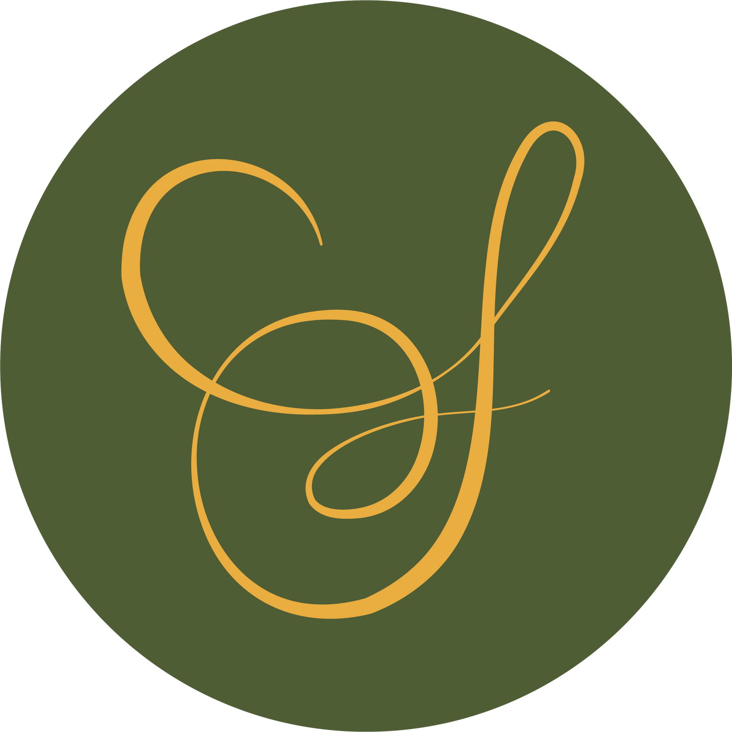 I Think There's Been A Glitch (Oops Bars)